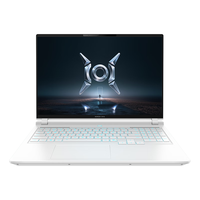 荣耀 HONOR Win H9 酷睿Ultra 9-290HX 16GB+1TB RTX 5070Ti 3K屏 游戏笔记本电脑
