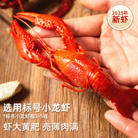洪湖渔家 蒜蓉小龙虾 700g*2