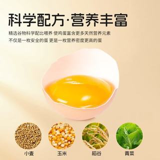 耕果妙 无抗富硒可生食鸡蛋 50g*10枚