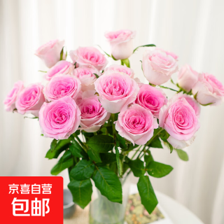 限时1小时！玫瑰花水养花束 10枝