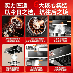夏新 D2 挥手感应 一级能效 吸油烟机