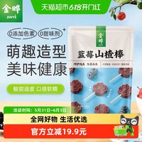 金晔 儿童专属蓝莓山楂棒108g