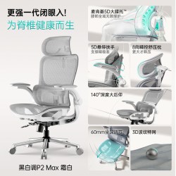 黑白调 P2Max 人体工学椅