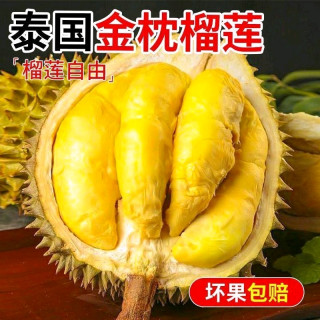 泰国金枕榴莲带壳鲜果当季新鲜水果一整个批发价包邮