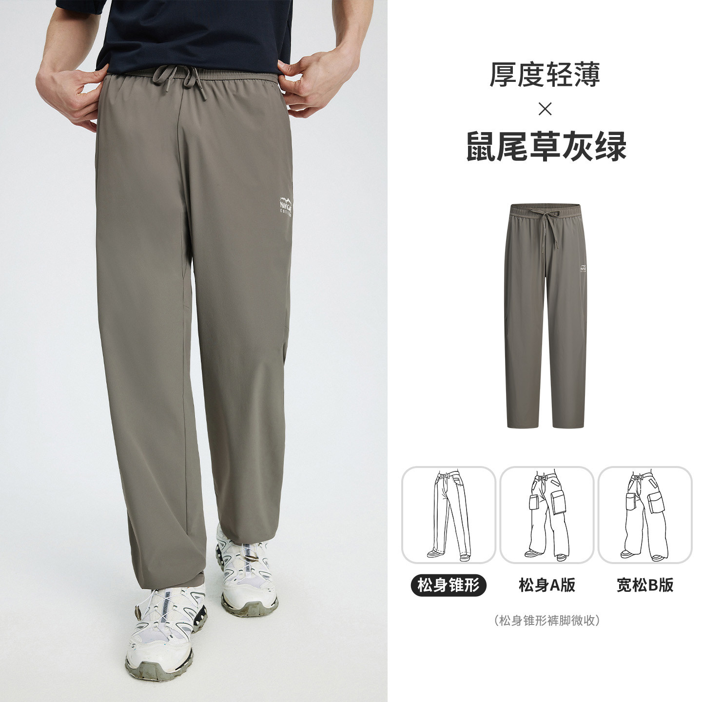 鼠尾草灰绿