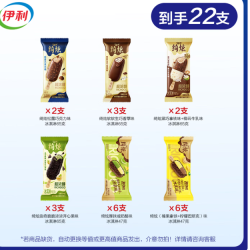 伊利 冰淇淋  绮炫全家福 22支 共1214g