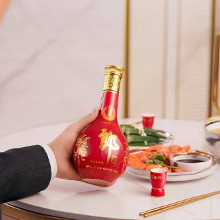 郎酒 酱香型白酒  2瓶装 500mL 53度