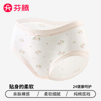 芬腾 女士纯棉内裤 7A抗菌 L码 2条装