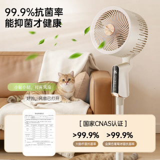 钻石牌 空气循环扇 直流变频 1级能效 台立式落地扇