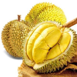 鲁禧海岸 泰国进口金枕鲜榴莲8-10斤（2-4个装）