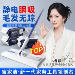 BOOMJOY 静电除尘纸拖把吸尘纸一次性拖布家用平板拖把 N2+干巾3包+湿巾3包