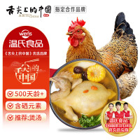 温氏 供港老母鸡 1.2kg