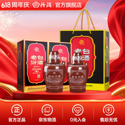 汾酒 老白汾酒10 53%vol 清香型白酒 475ml*2瓶 双支装