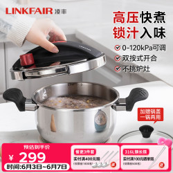 凌丰 高压锅小型压力锅304不锈钢防爆家用燃气灶电磁炉通用  20cm 3L