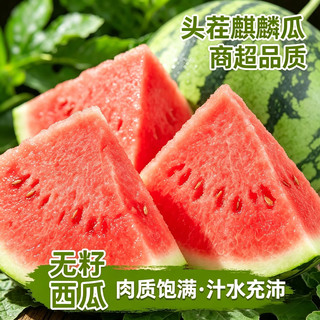 春福乐 8424麒麟西瓜