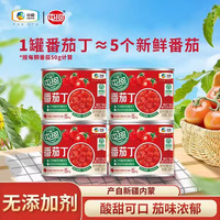 屯河 新疆番茄丁 200g*3 去皮番茄罐头 0添加剂