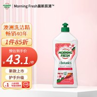 BALLARINI 超浓缩洗洁精 洋李樱花 680ml