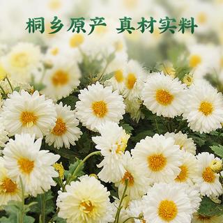 狮峰 杭白菊 特级无熏硫 袋装 50g 花草茶