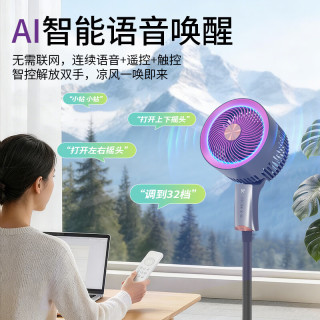 移动端、京东百亿补贴：钻石牌 FX-L68DR-DC 直流变频空气循环扇