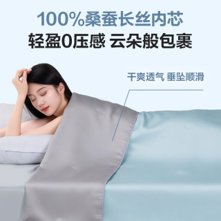 1号会员店 100%桑蚕丝长丝被 60支LF兰精天丝 空调被芯150*210cm