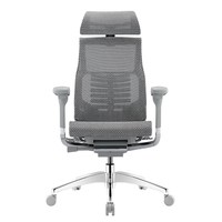 Ergonor/保友办公家具 POFIT 2代 人体工学电脑椅