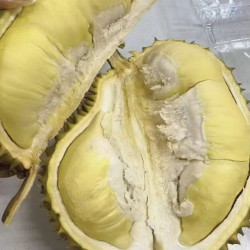泰国巴掌金枕榴莲当季新鲜整个带壳  净重5-7斤（1-2个装）