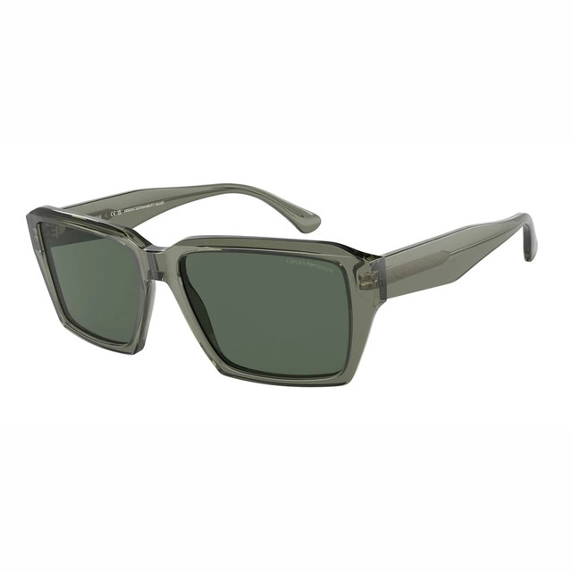 EMPORIO ARMANI 太阳镜 0EA4186F 53627158