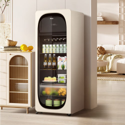 海尔 LC-229WLH9EY1 家用冰箱超薄立式冰柜 229L