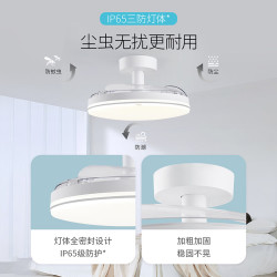 雷士 风扇灯吊扇灯北欧风36W全光谱/IP65三防