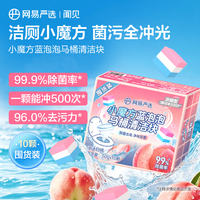 网易严选 马桶清洁剂洁厕灵洁厕块小魔方囤货装10颗蓝泡泡厕所卫生间除垢剂