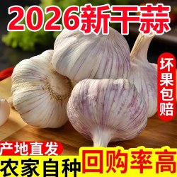 果玥 河南农家干大蒜5斤大蒜头干蒜新鲜大蒜紫皮种子新干蒜9斤1斤蔬菜