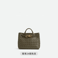 BOTTEGA VENETA BV 女士小号ANDIAMO手提斜挎包bv 柏树绿 均码