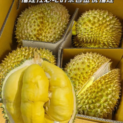泰国巴掌金枕榴莲8-10斤2-4个（最后一波）