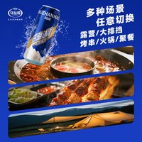 乌毡帽 冻藏冰雕气泡黄酒 500ml*12瓶