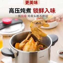 凌丰 LFDPC-PT10001 304不锈钢压力锅 22cm
