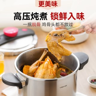 凌丰 LFDPC-PT10001 304不锈钢压力锅 22cm