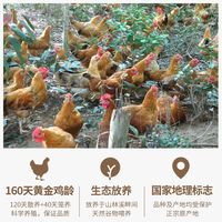 海蓝厨房 地标认证文昌鸡