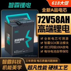 智霸 72V58AH 电摩大锂电池 智霸7258 7258单电池