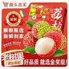 裕琼 妃子笑荔枝