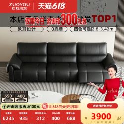 左右家私 左右 半青皮电动沙发