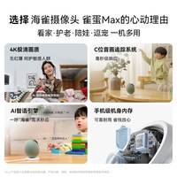 海雀 鸿蒙智选海雀智能摄像头雀蛋Max家庭网络无线监控360全景远程高清