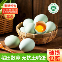 鄱湖鸭舍 鄱阳湖稻田散养麻鸭蛋 60-70g*20枚