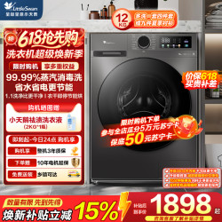 小天鹅 TD120V098WDT