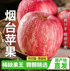 正鲜季 冰糖心苹果【甄选特大果】果径85mm-90mm 5斤 | 净重4.8斤