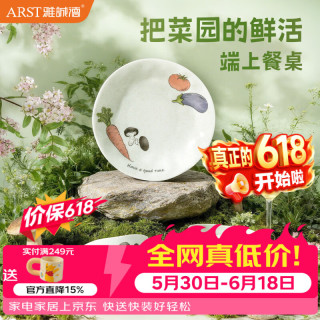 值友专享：雅誠德 釉下彩餐具4碗4盘