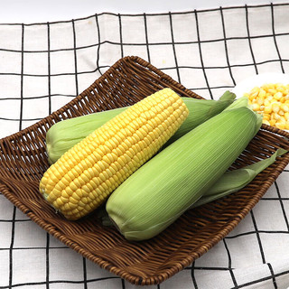 宝菜 云南黄甜玉米 净重3斤约3-5根 带皮水果玉米
