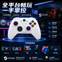 蛇战 Switch 无线蓝牙游戏手柄