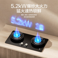 樱花卫厨 樱花 TGA11 双眼燃气灶 5.2kW猛火 嵌入式70%高热效率 一级能效