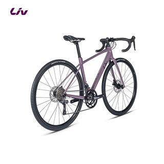 Liv Avail AR 4-GC 碳纤维前叉碟刹 700C 女士公路自行车 紫灰色 S码