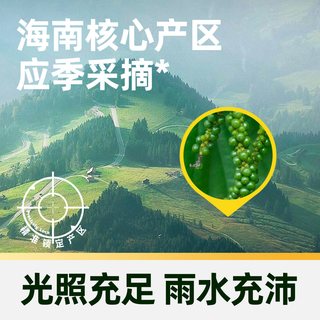 吉得利 黑胡椒粒 40g 纯研磨香辛料
